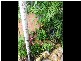 28 Sowden Street, Jingili NT 0810
