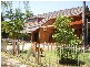 10 Phoenix Street, Nightcliff NT 0810