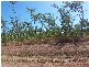 47 Honeysuckle Road, Herbert NT 0836