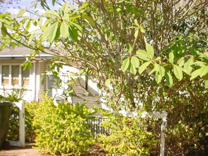 7 Taringa Parade, Indooroopilly QLD 4068