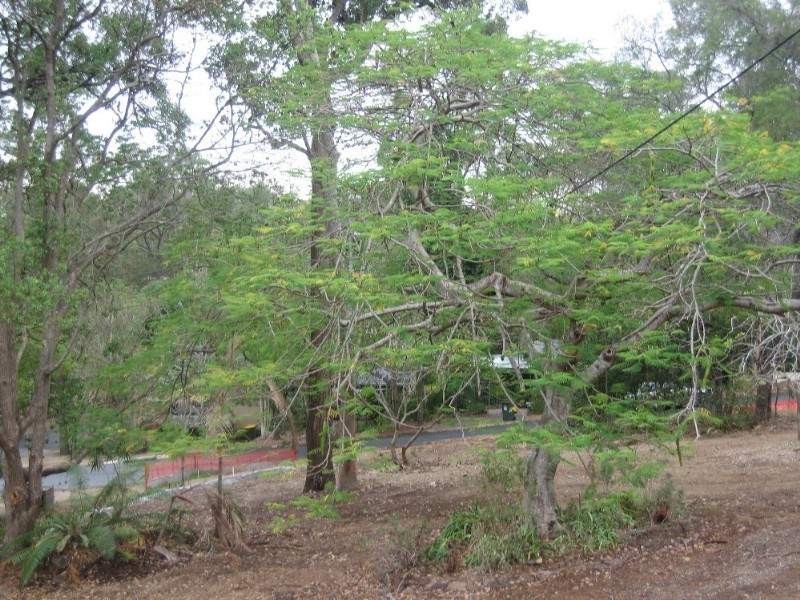 14 Norman Street, Fig Tree Pocket QLD 4069