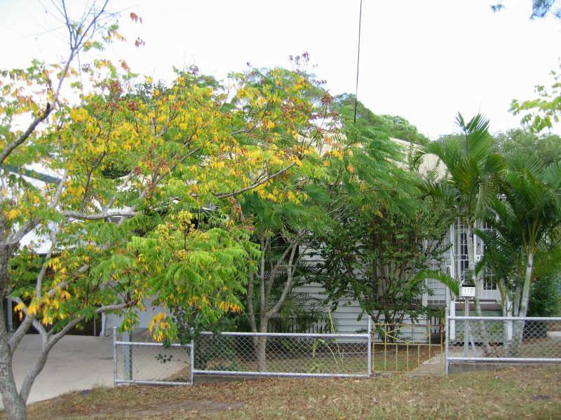 170 Taringa Pde, Indooroopilly QLD 4068