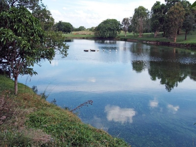 51 Meiers Road, Indooroopilly QLD 4068