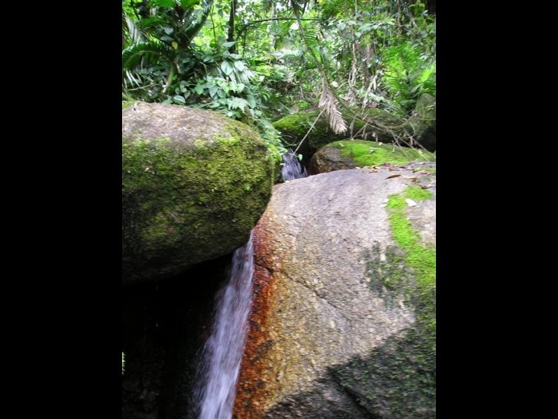 91 Christian Street, Babinda QLD 4861