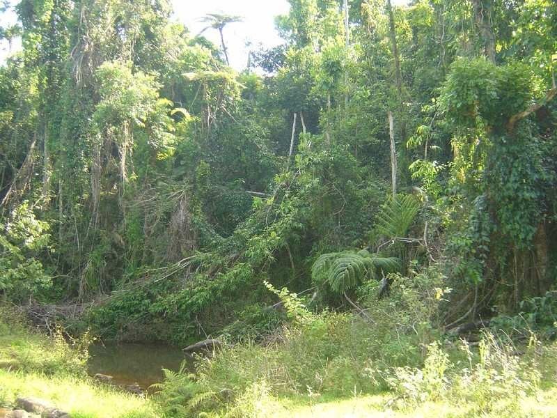 268 Nicholson Rd, Innisfail QLD 4860