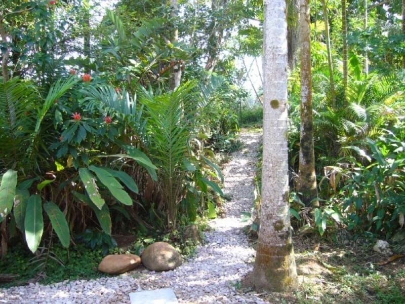 417 East Feluga, Feluga, Innisfail QLD 4860