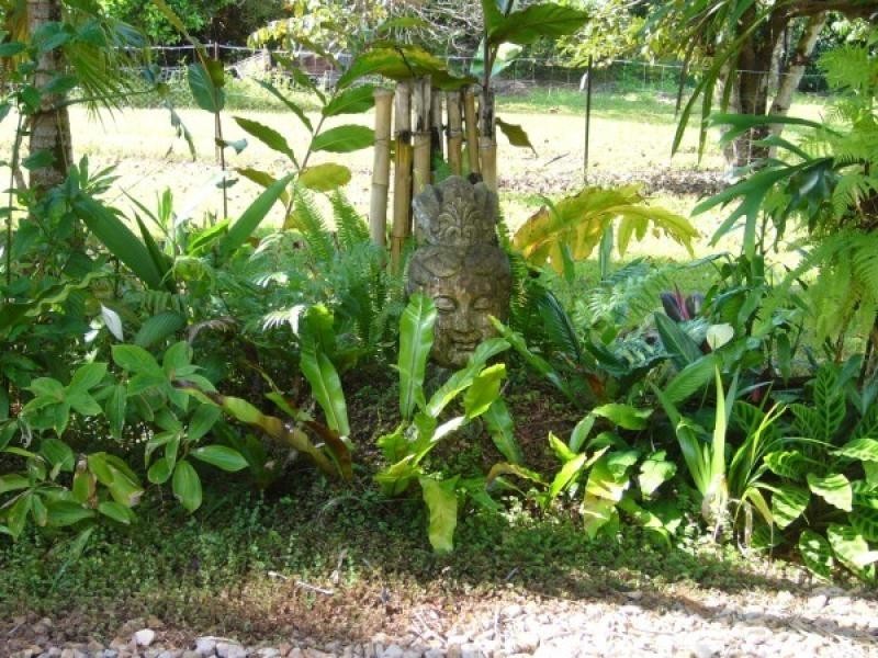 417 East Feluga, Feluga, Innisfail QLD 4860