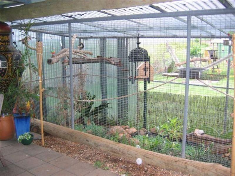 38 Brischetto Drive, Innisfail QLD 4860