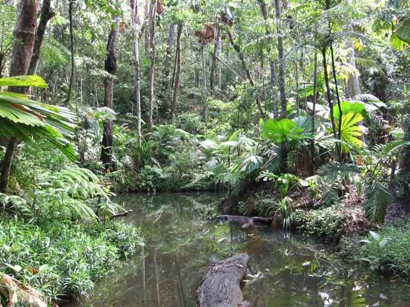 52 Waterfall Place, Innisfail QLD 4860