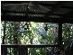 52 Waterfall Place, Innisfail QLD 4860