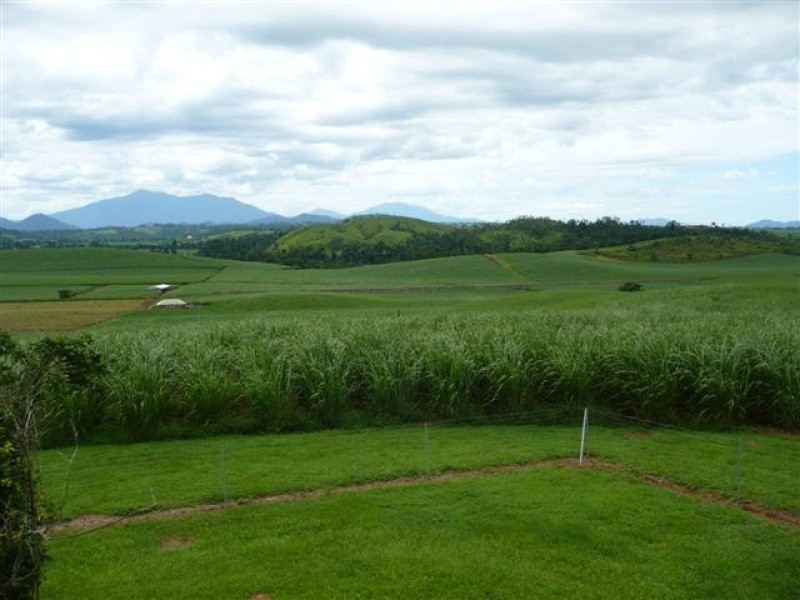 1212 Japoon Road, Innisfail QLD 4860