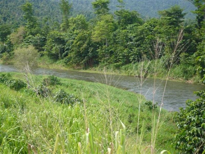 1212 Japoon Road, Innisfail QLD 4860