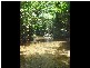 Lot 4 Woopen Creek, Innisfail QLD 4860