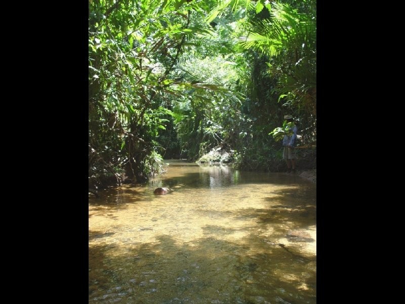 Lot 4 Woopen Creek, Innisfail QLD 4860