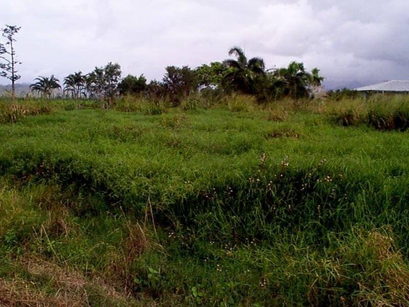 Bamboo Creek QLD 4860