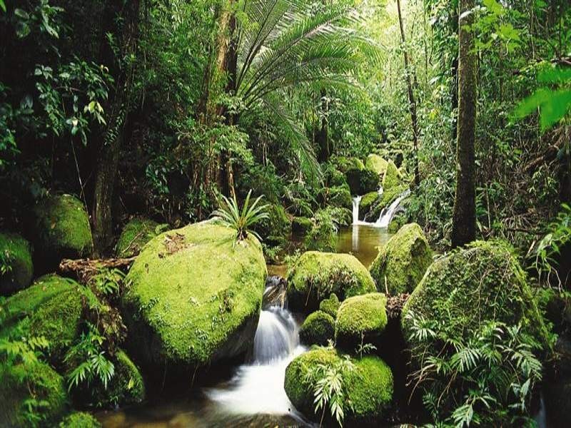 91 Christian Street, Babinda QLD 4861