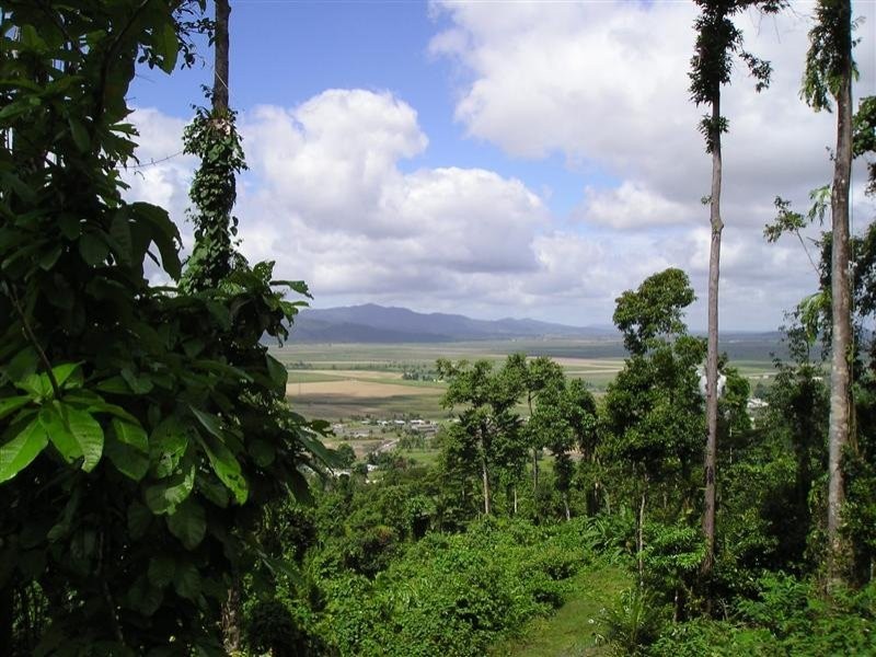 91 Christian Street, Babinda QLD 4861