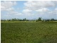 Lot 38 Flying Fish Point Road, Innisfail QLD 4860