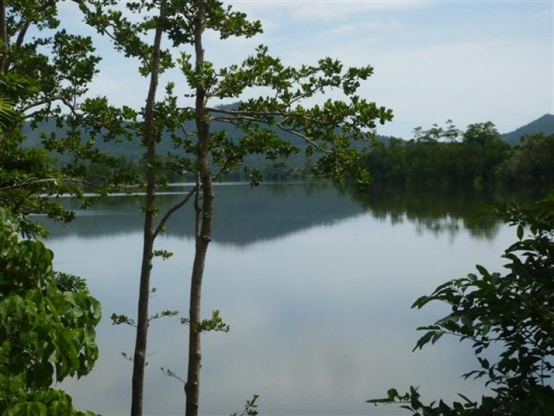 Lot 38 Flying Fish Point Road, Innisfail QLD 4860