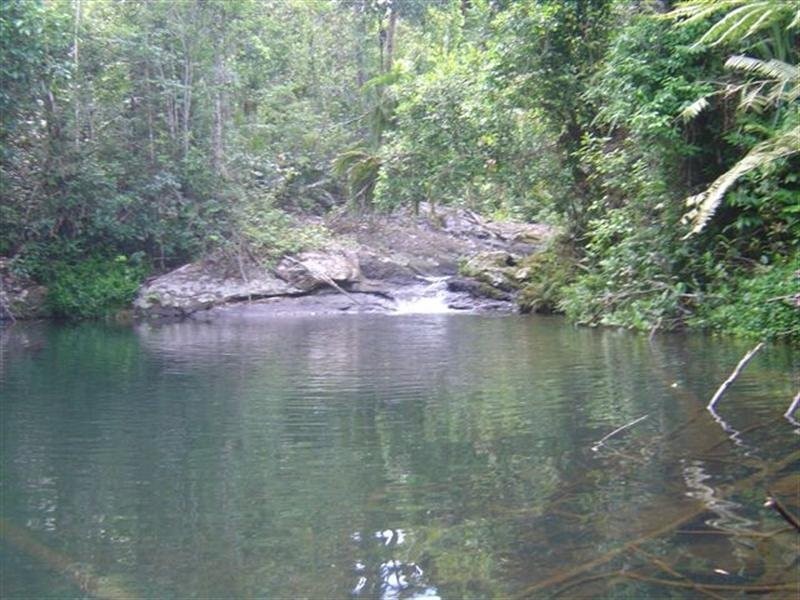 Lot 239 Dinner Creek Road, Garradunga QLD 4860