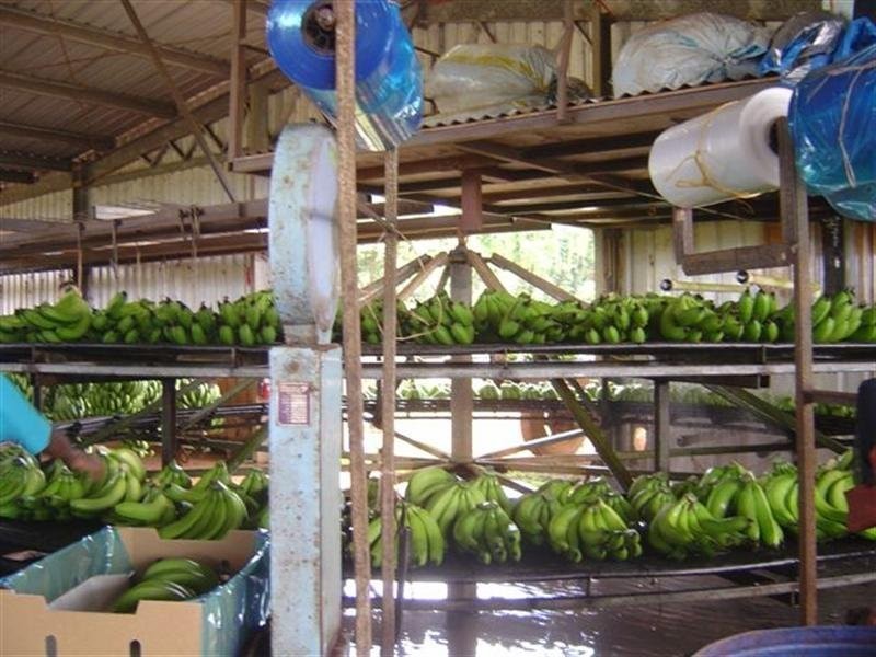 Lot 239 Dinner Creek Road, Garradunga QLD 4860