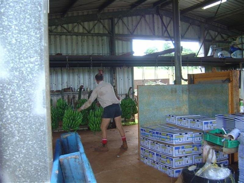 Lot 239 Dinner Creek Road, Garradunga QLD 4860