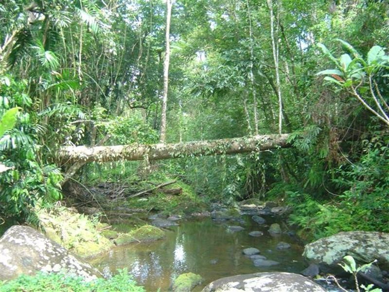 Lot 239 Dinner Creek Road, Garradunga QLD 4860