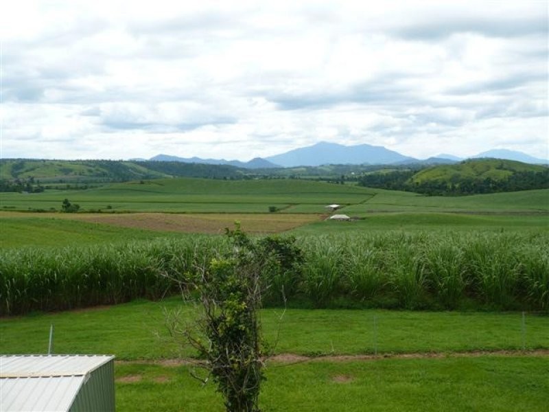 1212 Japoon Road, Innisfail QLD 4860