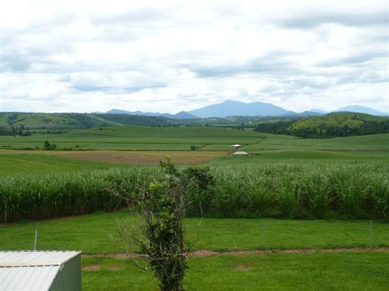 1212 Japoon Road, Innisfail QLD 4860