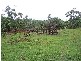 L73 Bruce Highway, Innisfail QLD 4860