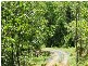 L73 Bruce Highway, Innisfail QLD 4860