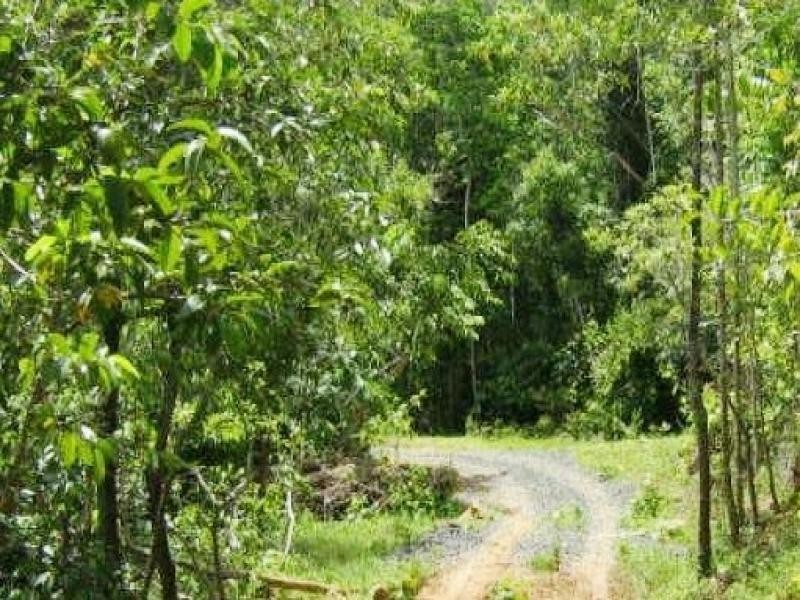 L73 Bruce Highway, Innisfail QLD 4860