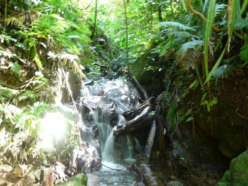 Lot 2 Crupi Road, El Arish QLD 4855