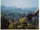 Nankin QLD 4701
