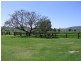 Tarampa QLD 4311