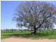 Tarampa QLD 4311