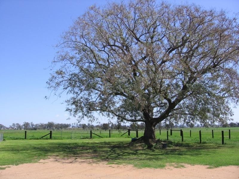 Tarampa QLD 4311