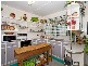 31 Queen Street, Newtown QLD 4305