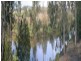 16 Burke Street, Barellan Point QLD 4306
