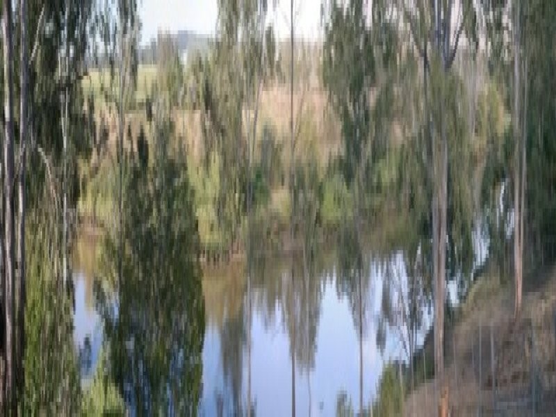 16 Burke Street, Barellan Point QLD 4306