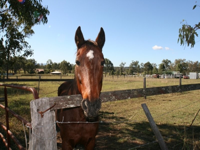 141 Stevens Road, Purga QLD 4306