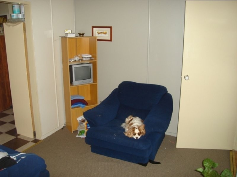 57 Vineyard Street, One Mile QLD 4305