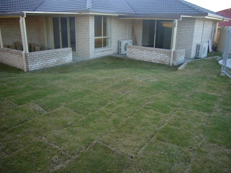 12 Tea Tree Place, Raceview QLD 4305