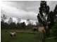 27 Taylors Road, Walloon QLD 4306