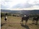 198 Tallegalla Two Tree Hill Road, Tallegalla QLD 4340
