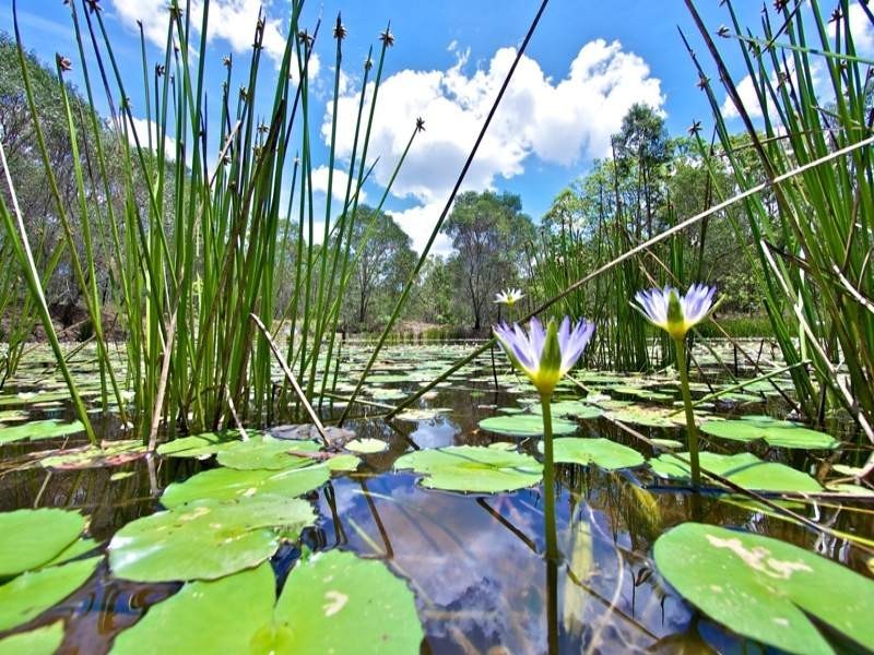 75 Farrell Road, Pine Mountain QLD 4306