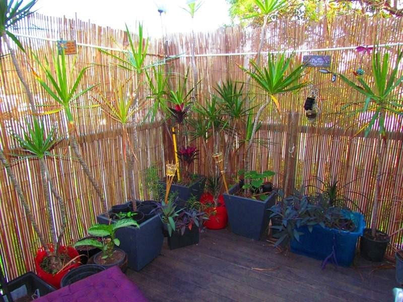17 Ernest Street, Leichhardt QLD 4305