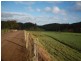 700 Neusavale Road, Neusa Vale QLD 4570