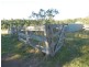 396 Boonah-Fassifern Road, Templin QLD 4310