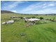 515 Munbilla Road, Munbilla QLD 4309